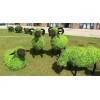 仿真绿雕绵羊精选 厂家生产仿真绿雕绵羊 室外仿真绿雕绵羊