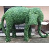 仿真绿雕大象厂家批发价 单枝仿真绿雕大象 小叶仿真绿雕大象
