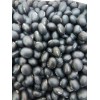 高效经济作物 黑肾豆种子