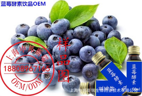 酵素蓝莓饮品加工.jpg