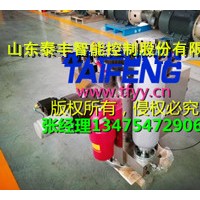 厂家现货供应泰丰YN32-1250ECV均为Dg32，双泵