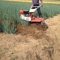 最好用的培土机旋耕机耕地视频教学最新式中耕甘蔗培土机