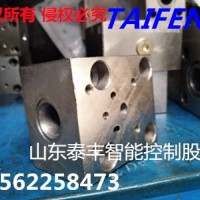 济宁泰丰厂家直销TLFA063WEA-7X电磁阀安装面盖板